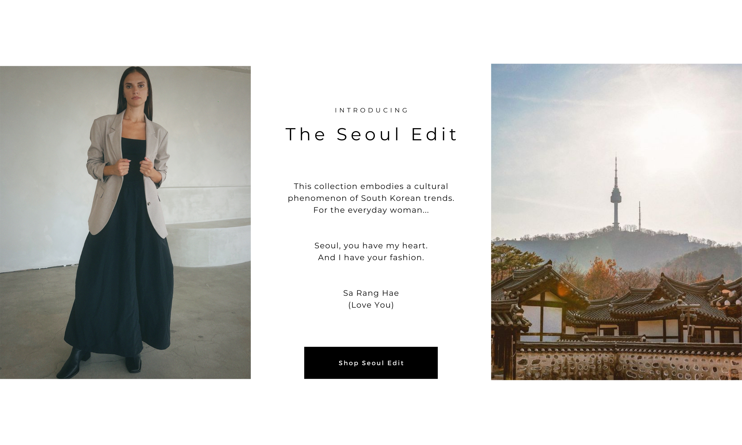 Introducing the Seoul Edit.  Elevated fall staples that are worth investing in.  Level up your comfy outfits with statement leather skirts,  lightweight dusters, oversized blazers, and structured poplin tops.